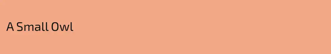 A Small Owl